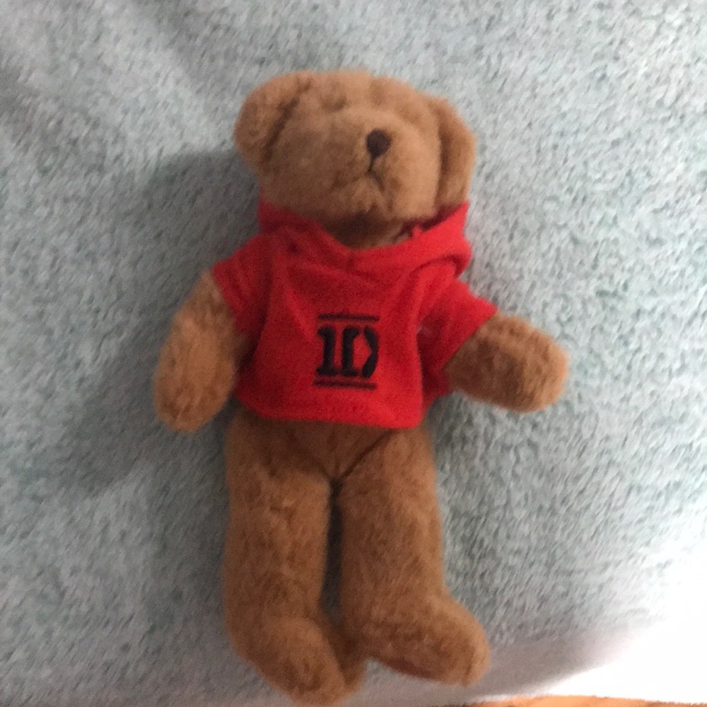 1 direction bear